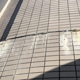 壁・天井から現れる「白華現象」とは ― 原因・調査方法・補修・予防まで徹底解説 ―